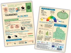 Infographie « Tourbières alcalines »