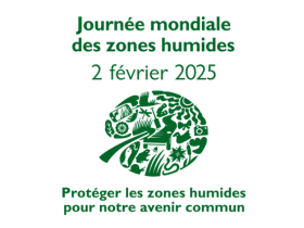 Journée mondiale des zones humides 2025