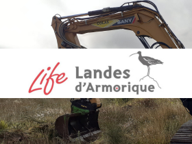 LIFE Landes d’Armorique : Restauration des sources de l’Ellez