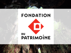 Second appel à projets « Patrimoine naturel et Biodiversité 2024 » de la Fondation du Patrimoine