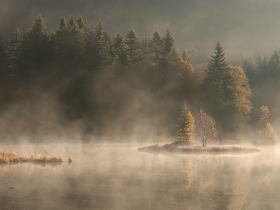 Mission Nature : cap sur la restauration de tourbières acides dans les Vosges